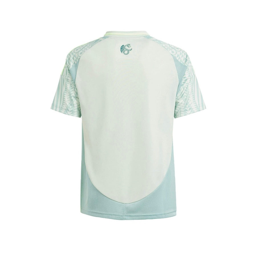 Maillot-Foot Mexique